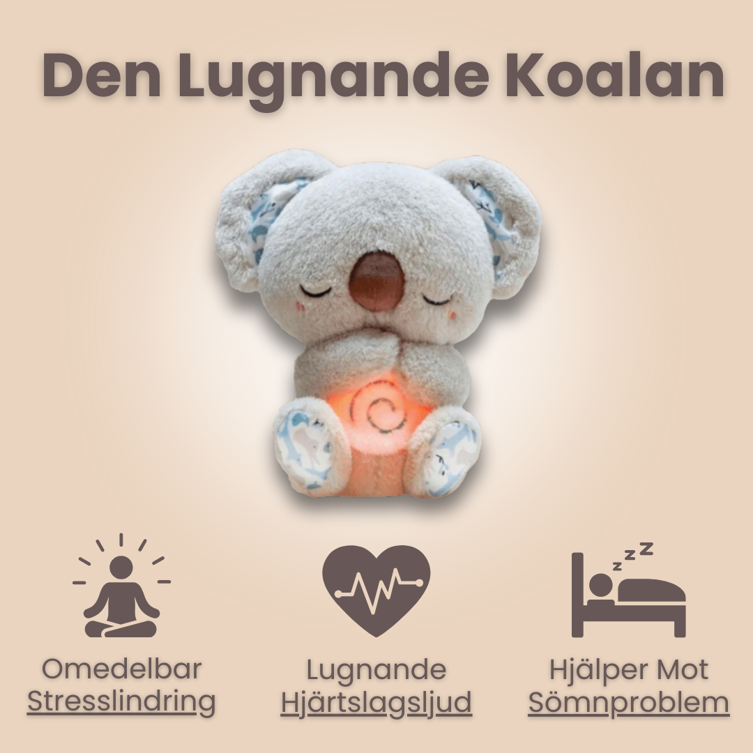 Koala Bear™ - Din gosiga vän när du behöver det som mest